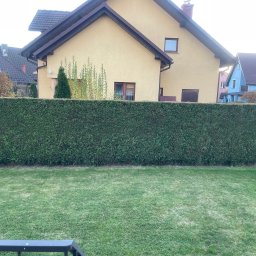 TAB Mateusz Ciask - Zadbany ogród z równo przystrzyżonym żywopłotem na tle domów o różnej architekturze i kolorystyce. Widoczny trawnik i fragment balustrady.