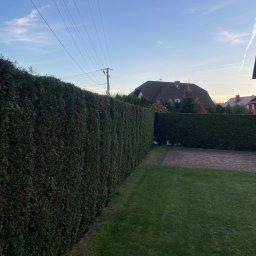 TAB Mateusz Ciask - Najwyższej Klasy Odchwaszczanie Myślenice