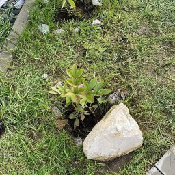 Przeprowadzki Dobczyce 1