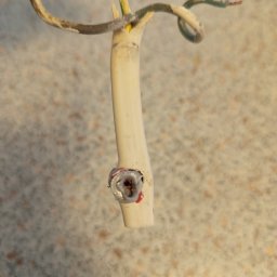 Rafał Juszczak - Prace wysokościowe Szczecin