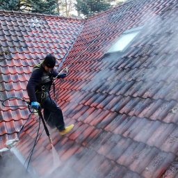 Mycie dachów Warszawa 3