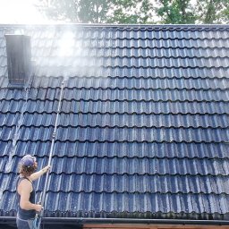 Mycie dachów Warszawa 1