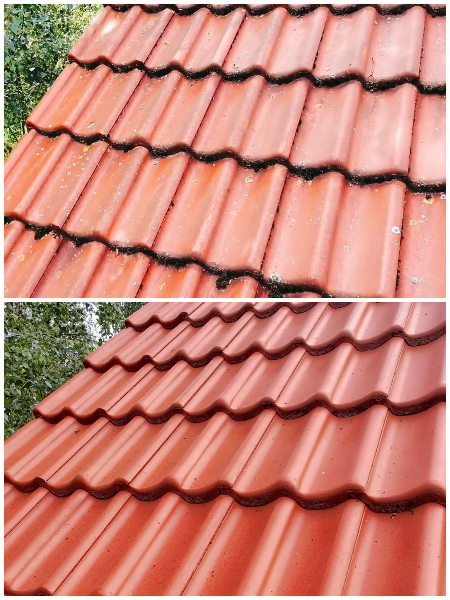 Zdjęcie dachu z dachówki ceramicznej przed i po czyszczeniu. Górna część pokryta mchem i zabrudzeniami, dolna czysta, w intensywnym czerwonym kolorze. Widok z bliska.
