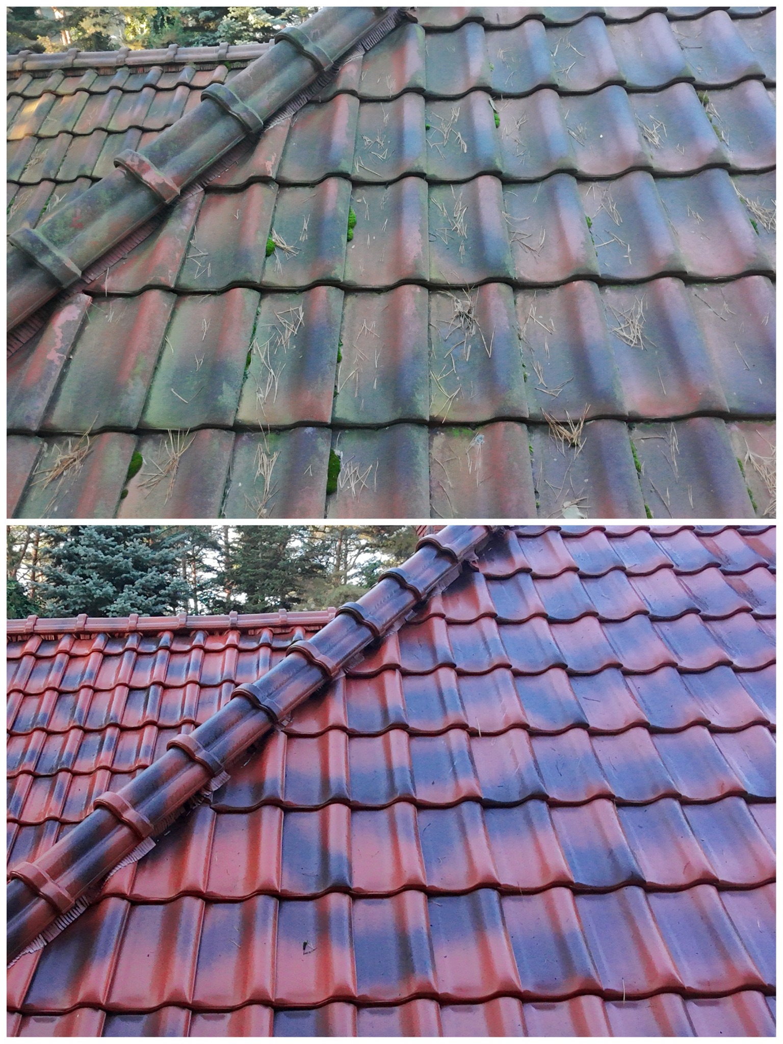 Zdjęcie dachu przed i po czyszczeniu, z widocznymi mchem i igliwiem na górnej części oraz czystą, czerwoną dachówką na dolnej. Ujęcie z bliska, ukazujące detale.