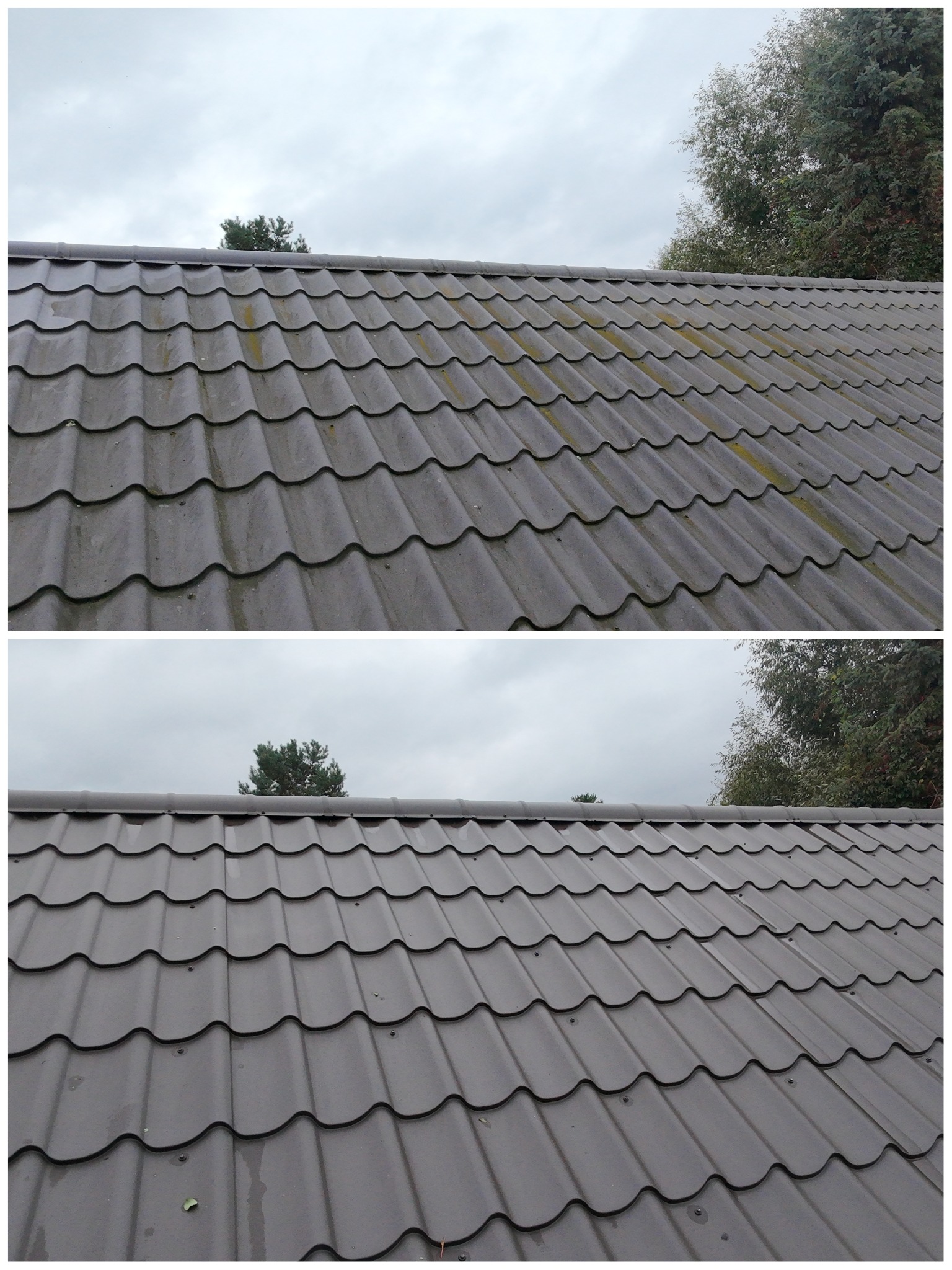 Dachówka przed i po czyszczeniu, widoczne różnice w zabrudzeniu i kolorze. Górna część dachu pokryta mchem, dolna czysta, w tle drzewa i pochmurne niebo.