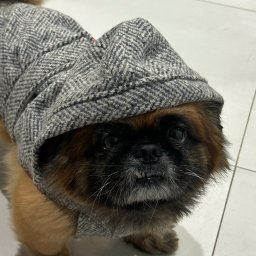 Płyta karton gips Piaseczno - avatar