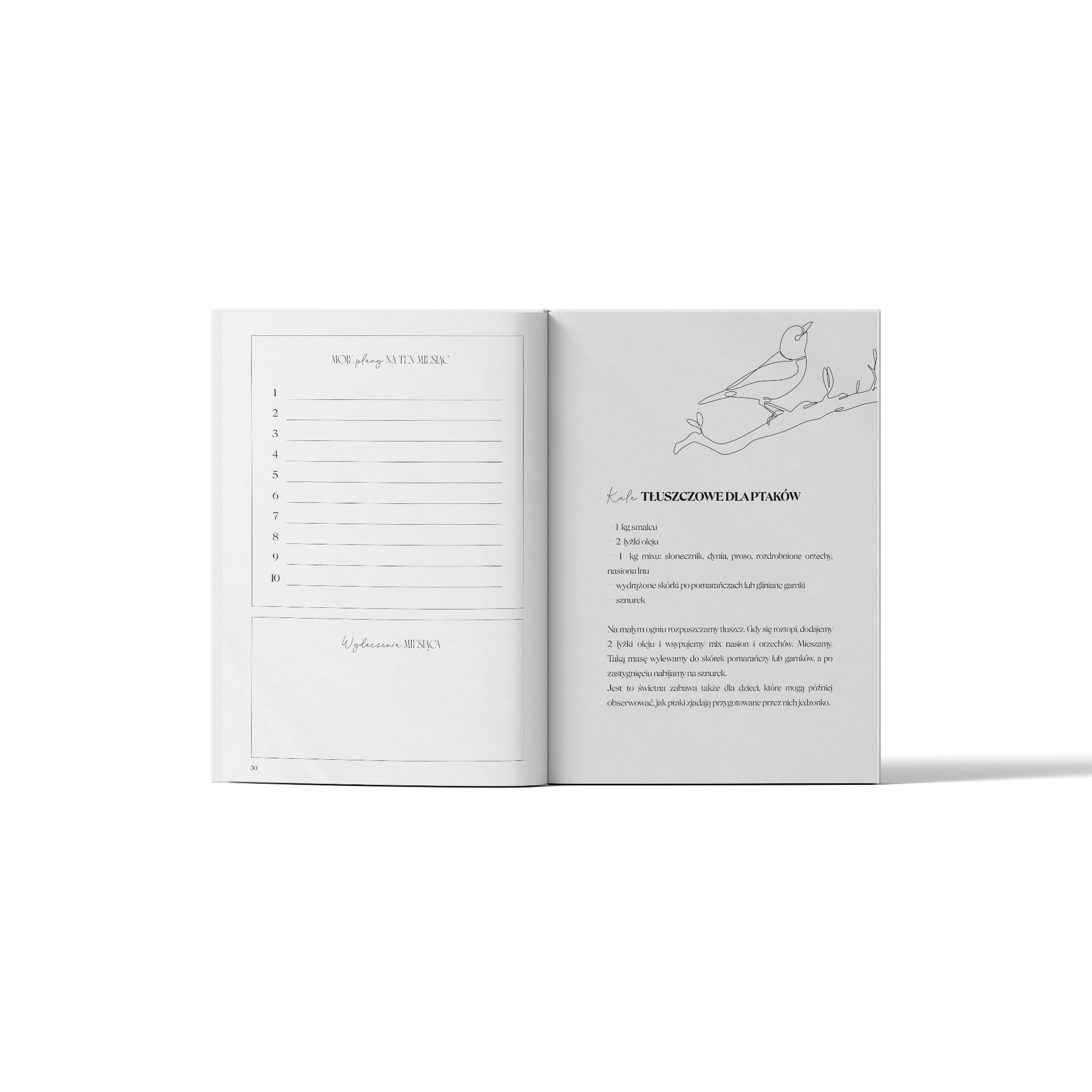 Otwarta książka z ilustracją ptaka i przepisem na kule tłuszczowe dla ptaków, z listą zadań na miesiąc. Minimalistyczny styl, stonowana kolorystyka.