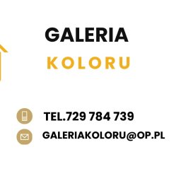 GALERIA KOLORU SEBASTIAN NEINER - Usługi Parkieciarskie Wrocław