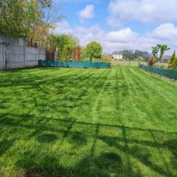 Zielona Przystań - Profesjonalne Wyburzenia, Rozbiórki Pleszew