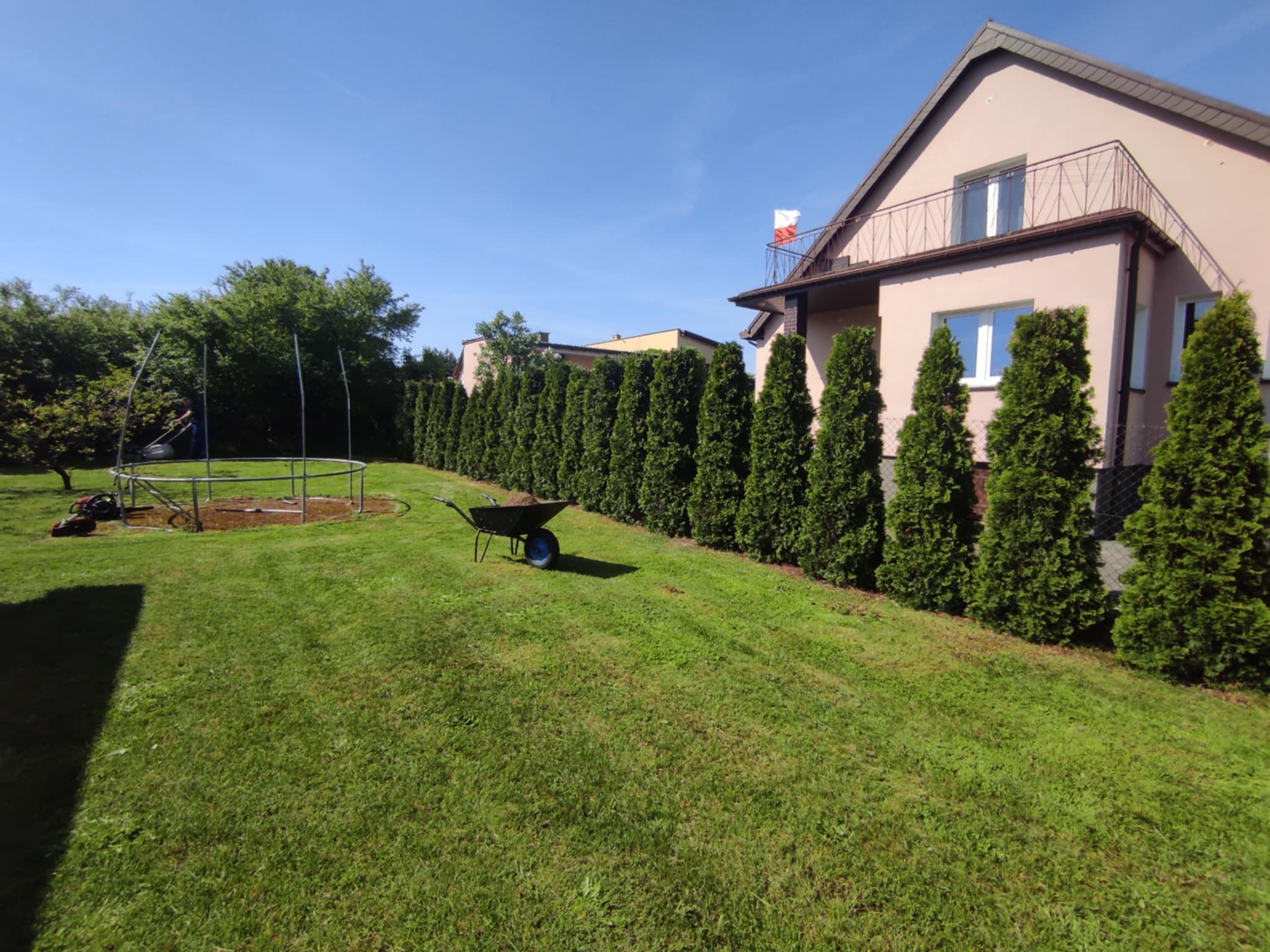 Równy rząd przyciętych, zielonych tuj tworzy żywopłot w ogrodzie. W tle dom z balkonem, na trawniku taczka i sprzęt ogrodniczy. Błękitne niebo.