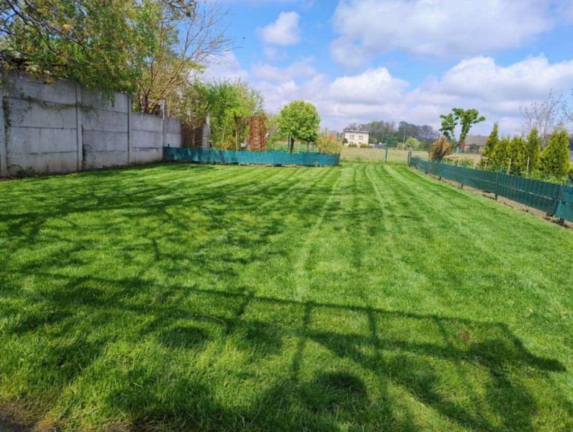 Równomiernie skoszony trawnik z wyraźnymi pasami, ogrodzony zielonym płotem, z betonowym murem po lewej stronie. Widoczne drzewa i błękitne niebo z chmurami.
