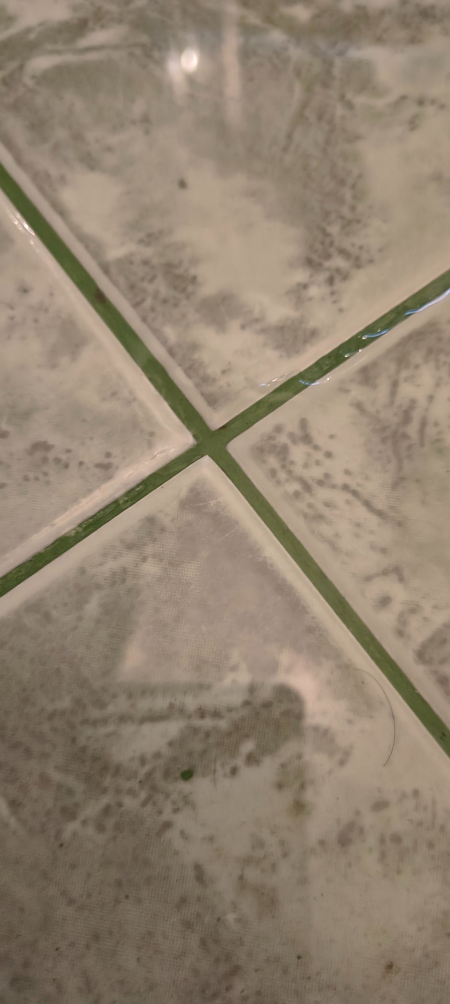 Szczegółowy widok na umytą, jasną podłogę z płytek z zielonymi fugami. Widoczne drobne zabrudzenia i pojedynczy włos. Perspektywa z góry.