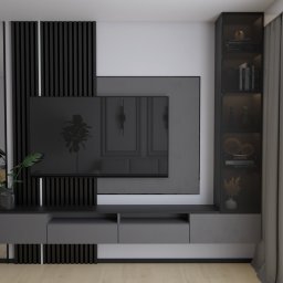 Details Studio - Nowoczesny salon w szarościach: ściana TV z lamelami, szafka RTV, telewizor, regał z książkami i dekoracjami, roślina w wazonie. Minimalistyczny design.