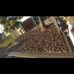 Układanie kostki brukowej Nowe Miasto 1