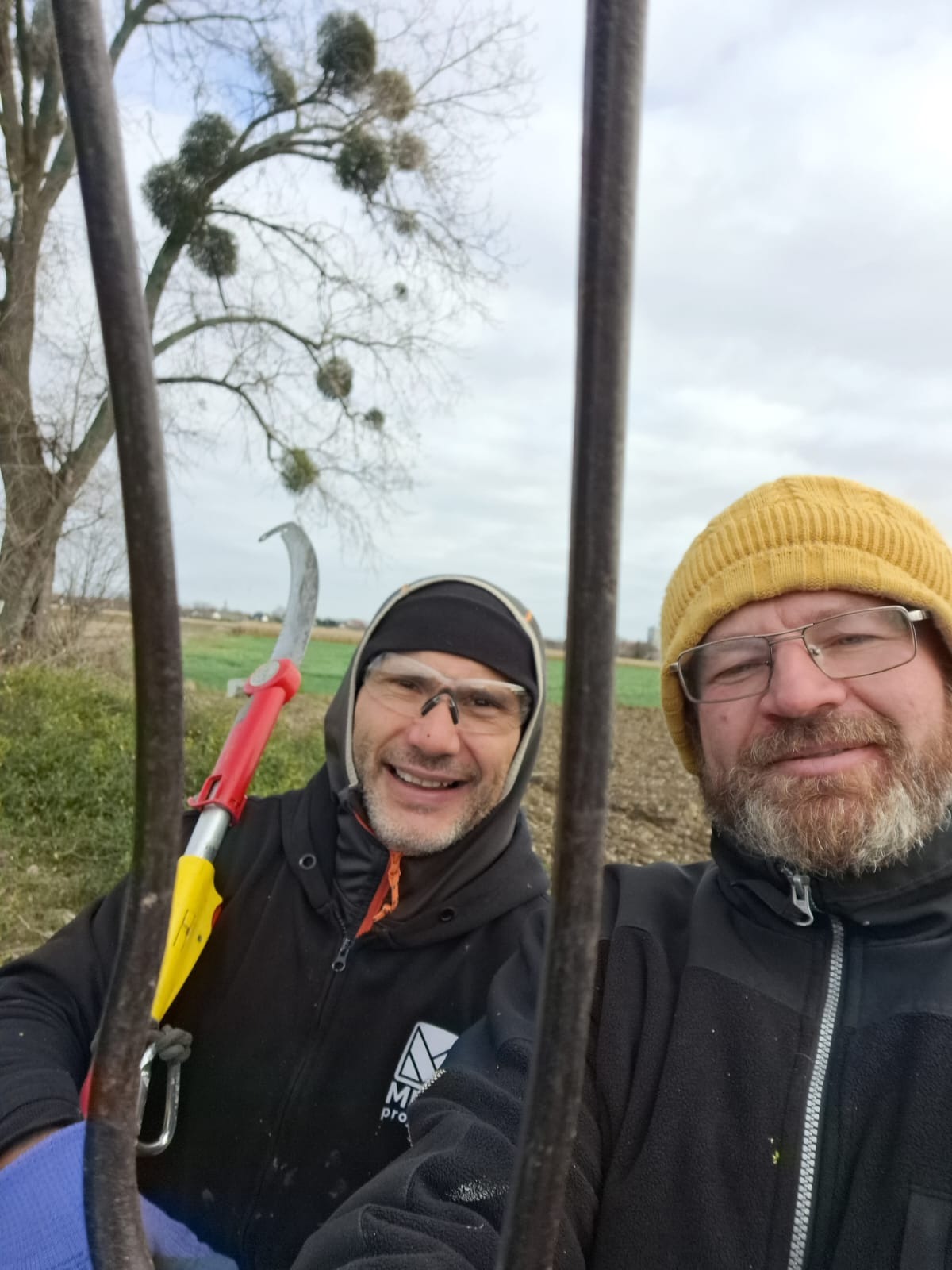 Uśmiechnięci pracownicy z sekatorem na wysięgniku, w tle drzewo z jemiołą i pole. Widok zza metalowej konstrukcji.