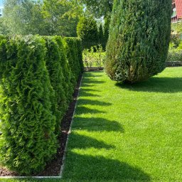 K.K. Beautiful Garden - Mycie Kostki Betonowej Cieszyn