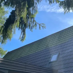 Ciemny dach z oknem połaciowym, widoczny z dołu, częściowo zasłonięty gałęziami drzewa. Dachówka w kształcie łuski. Błękitne niebo w tle.