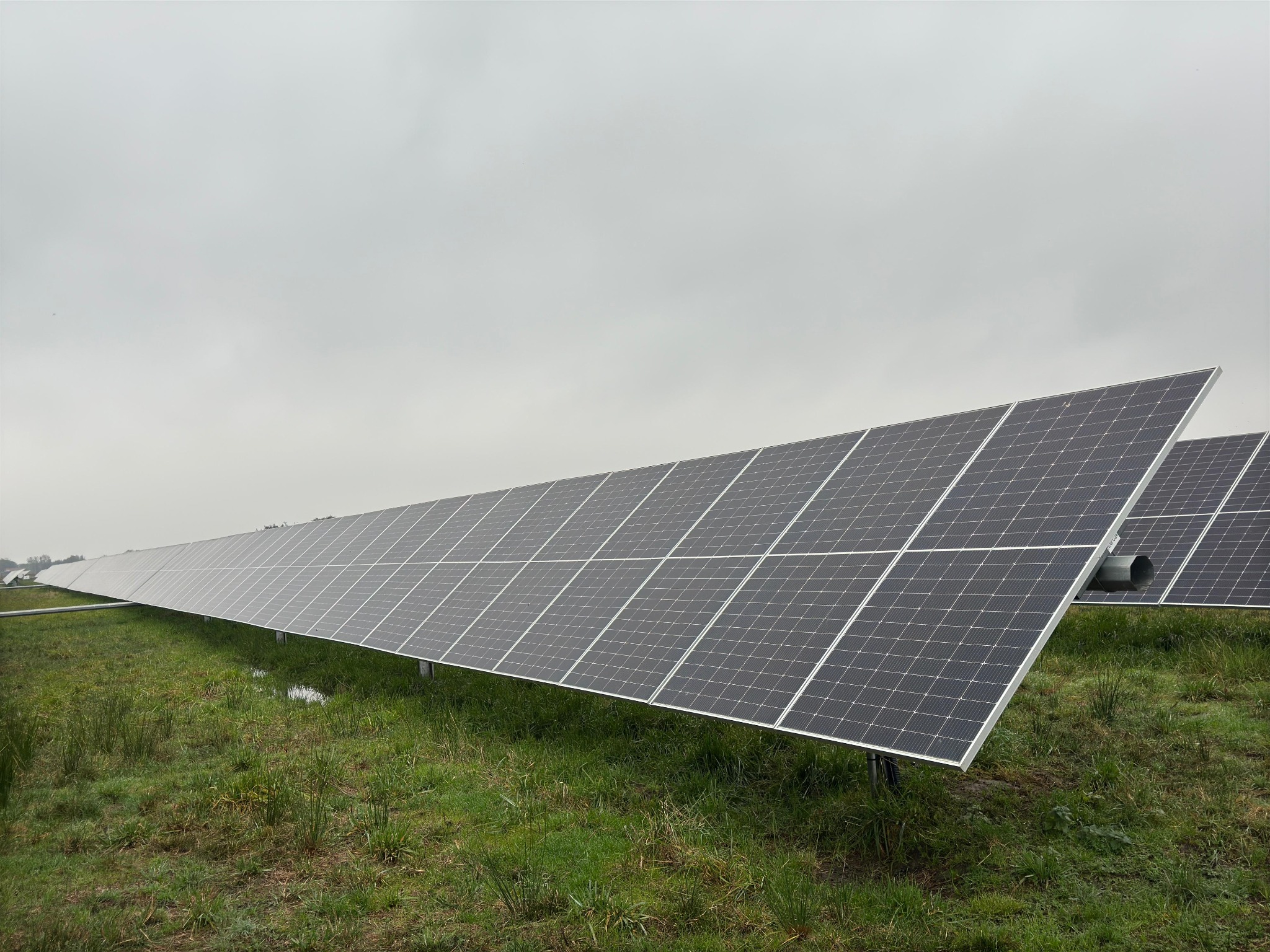 Długi rząd paneli słonecznych na zielonym polu pod pochmurnym niebem. Widoczne podpory i fragmenty instalacji. Ujęcie z niskiej perspektywy podkreśla rozległość farmy.
