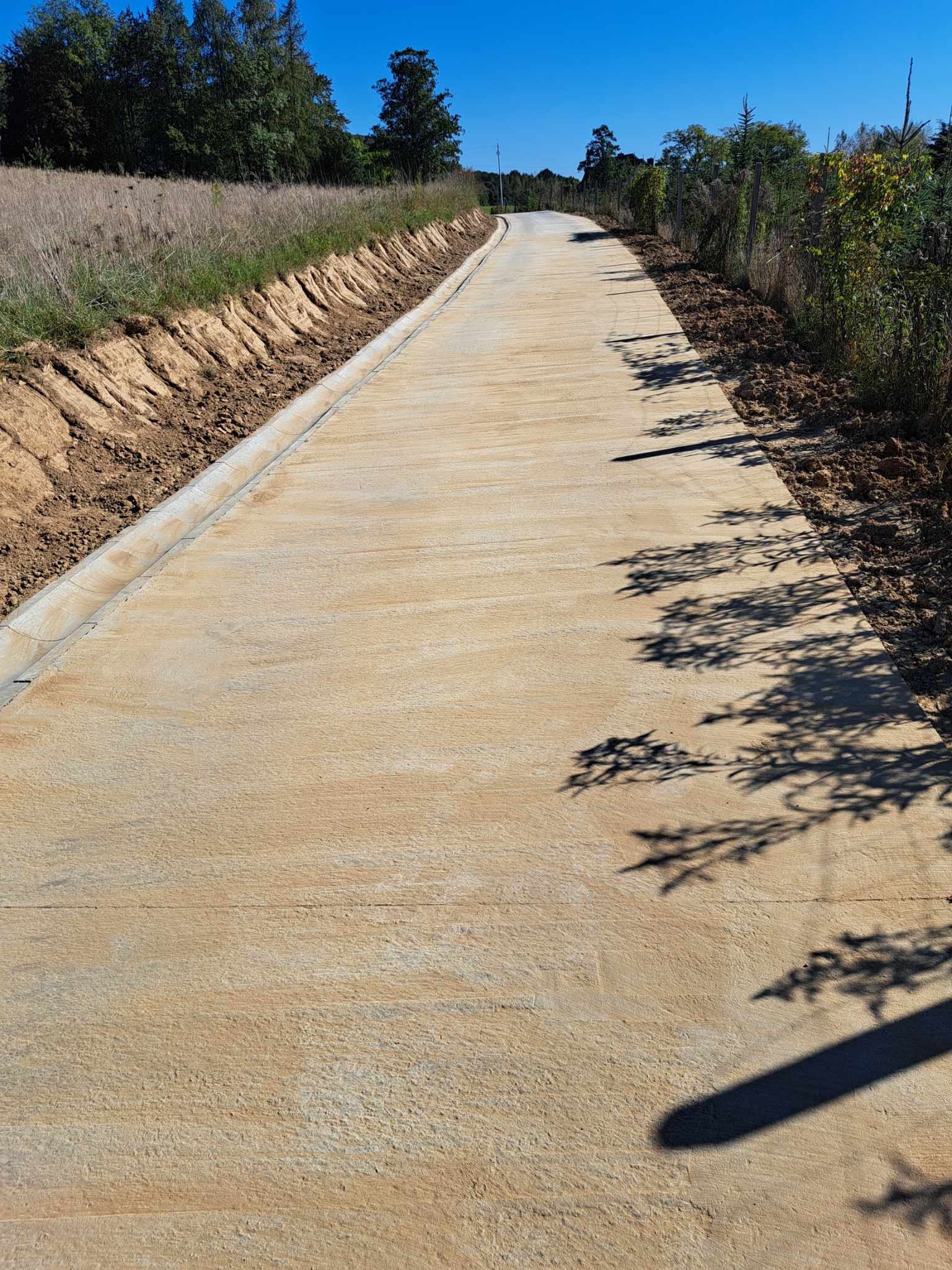 Nowa, betonowa droga dojazdowa z krawężnikiem, otoczona polami i drzewami w słoneczny dzień. Widok z perspektywy.