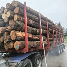 Forest Energy - Ceniony Tartak Bytów