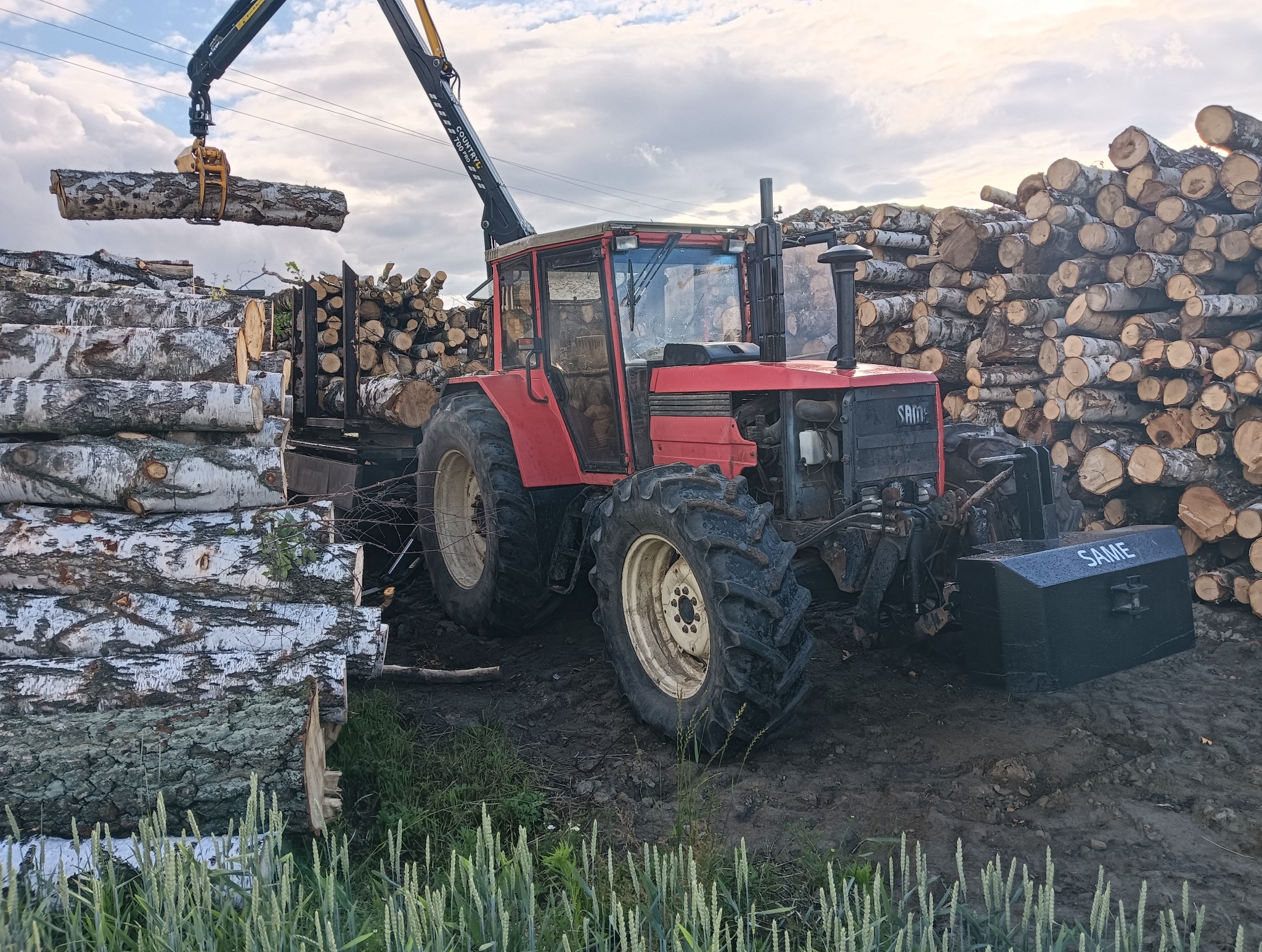 Czerwony traktor z dźwigiem transportuje kłodę drewna na tle stosu pociętych pni. Widoczne świeże ślady opon w błocie i trawa. Pochmurne niebo w tle.