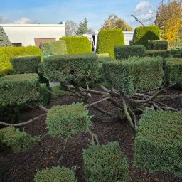 Usugi ogrodnicze Marcin Babiński - Sprzątanie Biur Wolsztyn