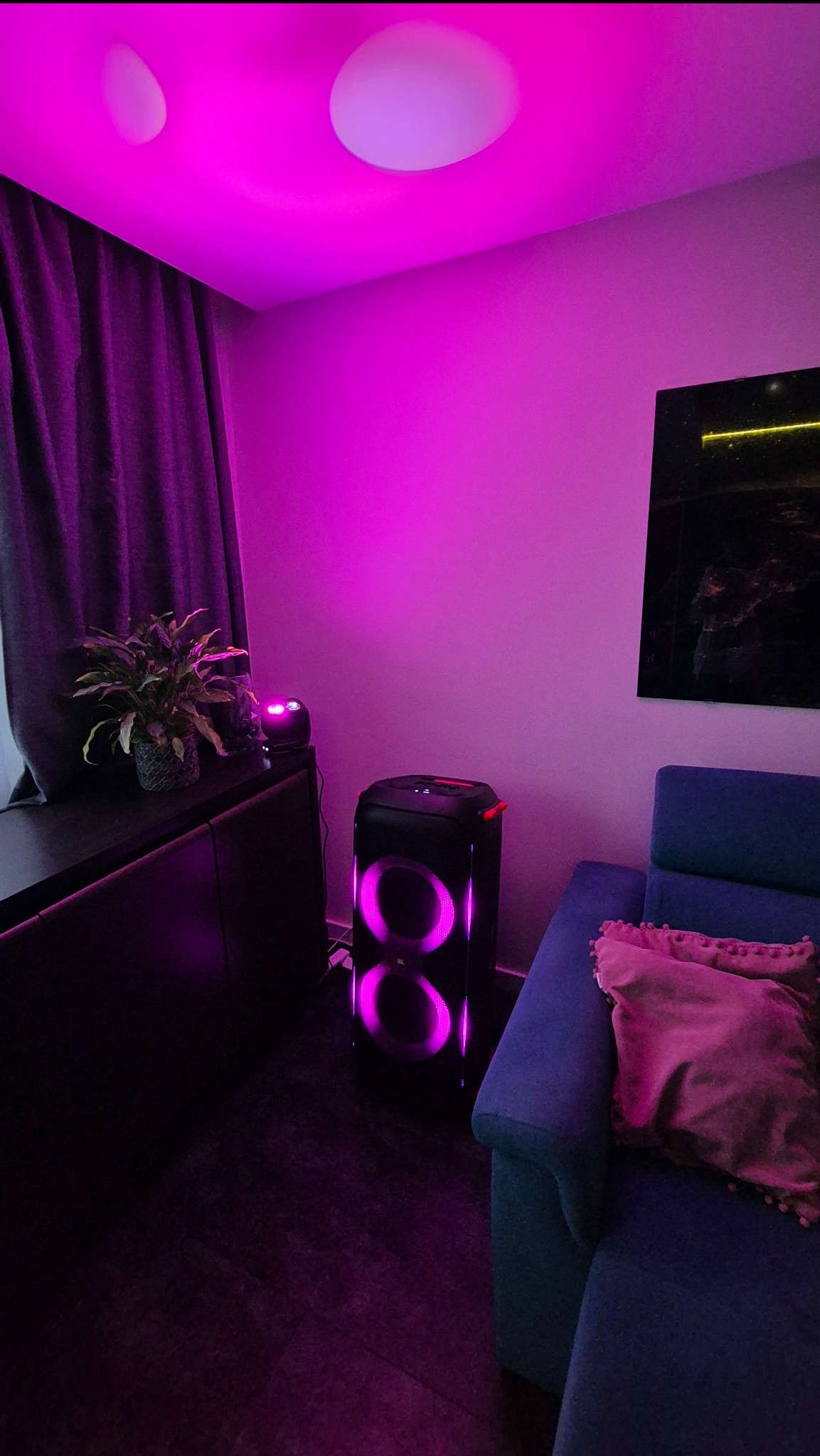 Pokój oświetlony fioletowym światłem z głośnika JBL Partybox, stojącego obok niebieskiej sofy z poduszką. Na szafce roślina doniczkowa i mały reflektor. Nowoczesne oświetlenie.