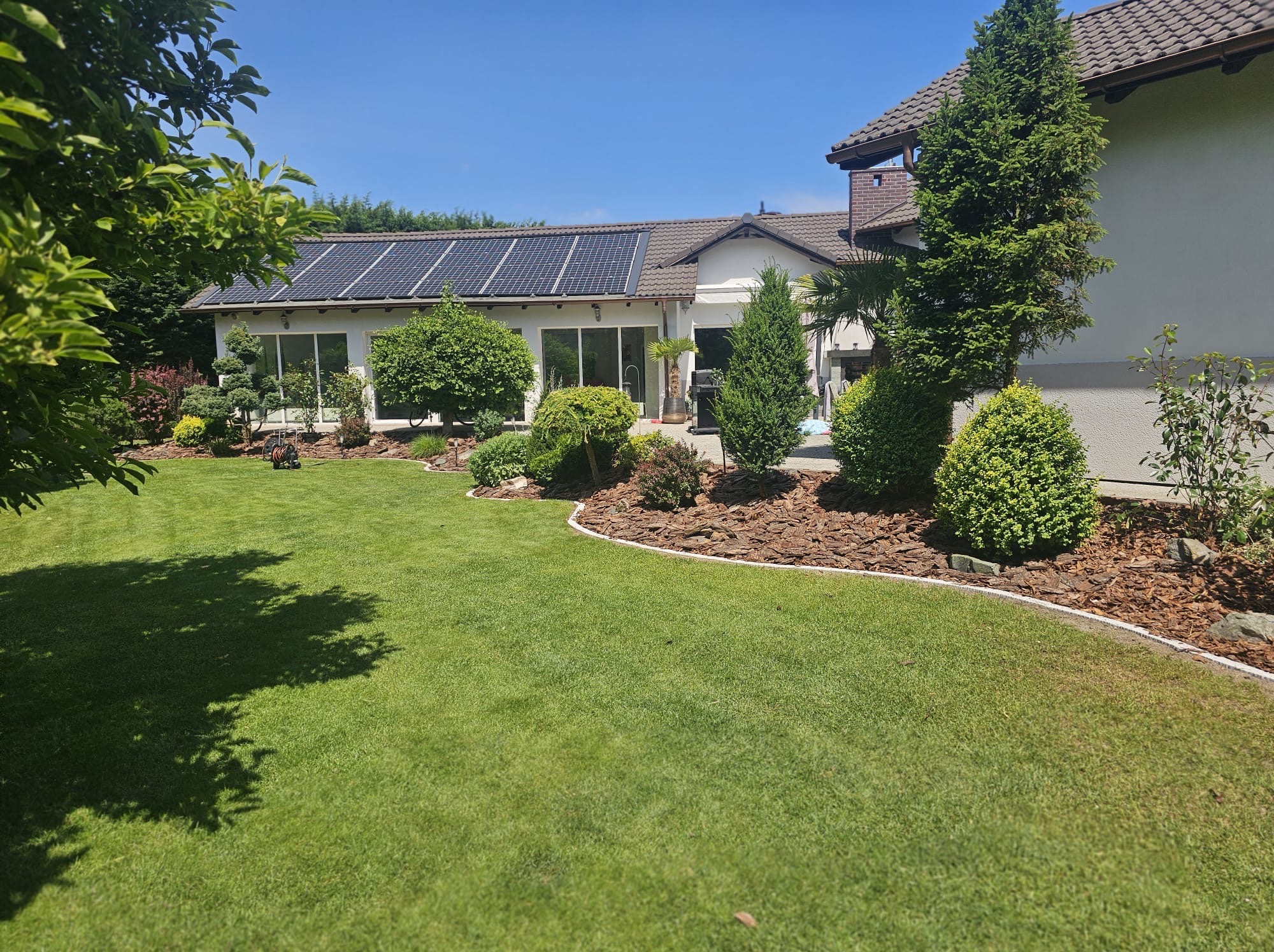 Zadbany ogród z równo przystrzyżonym trawnikiem, ozdobnymi krzewami i drzewami iglastymi. W tle biały dom z panelami słonecznymi na dachu.