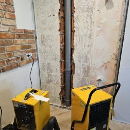 Dezynsekcja i deratyzacja Wieliszew 1