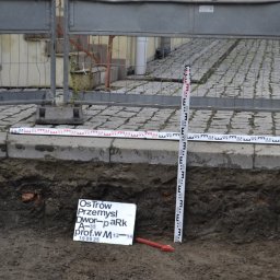 Róża i lilia. Archeologia. Joanna Motak - Wyjątkowe Biuro Projektowe Przemyśl