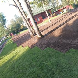 GREENLIS CEZARY LISOWSKI - Zakładanie trawnik&oacute;w August&oacute;w