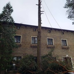 GREENLIS CEZARY LISOWSKI - Prace działkowe August&oacute;w