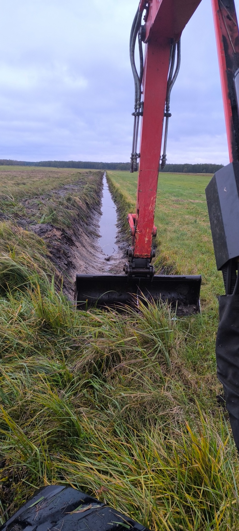 Czerwona koparka w trakcie kopania rowu melioracyjnego na zarośniętym polu. W tle widoczny las i pochmurne niebo. Rów wypełniony wodą.