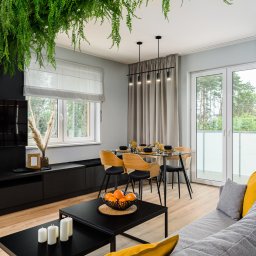 Płyta karton gips Dłutów 1