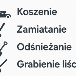 Odśnieżanie dróg i placów Bojszowy 1
