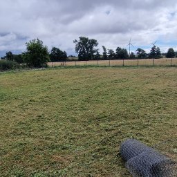 Wycinka drzew Nowe Miasto nad Wartą 3