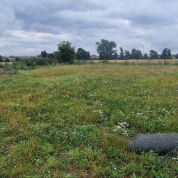 Michał Krajewski - Niezagospodarowana działka z wysoką trawą i kwiatami, w tle drzewa i turbiny wiatrowe. Na pierwszym planie słupek ogrodzeniowy i zwinięta siatka.