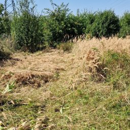 Wycinka drzew Nowe Miasto nad Wartą 4