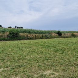 Wycinka drzew Nowe Miasto nad Wartą 2