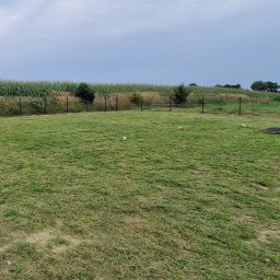 Michał Krajewski - Strzyżenie Traw Nowe Miasto nad Wartą