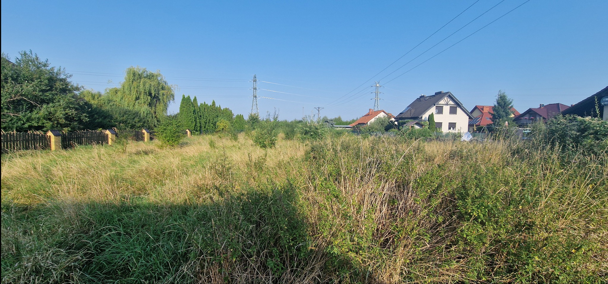Zarośnięta działka z wysoką trawą i chwastami, widok na domy jednorodzinne i słupy energetyczne w tle, słoneczny dzień.