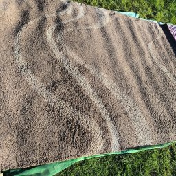 Clinex Paulina Ciak - Brązowy dywan shaggy z jasnymi śladami czyszczenia, rozłożony na zielonej folii na trawie w słoneczny dzień. Widoczne fałdy i nierówności dywanu.