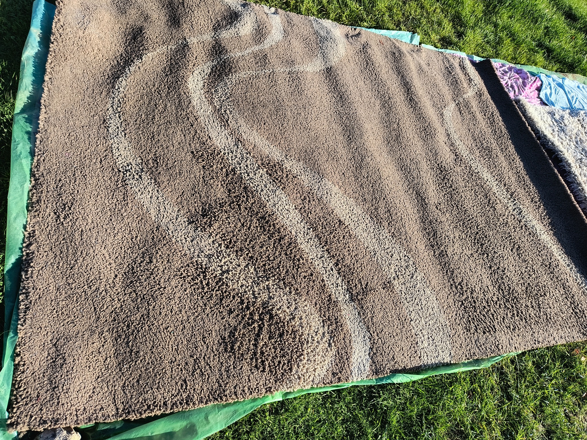 Brązowy dywan shaggy z jasnymi śladami czyszczenia, rozłożony na zielonej folii na trawie w słoneczny dzień. Widoczne fałdy i nierówności dywanu.