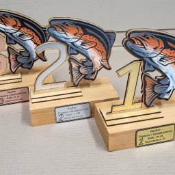 Tomasz Wójcik - Ręcznie robione, drewniane trofea wędkarskie z numerami 1, 2 i 3, z motywem ryby, na jasnym tle. Unikalne nagrody dla zawodów wędkarskich.