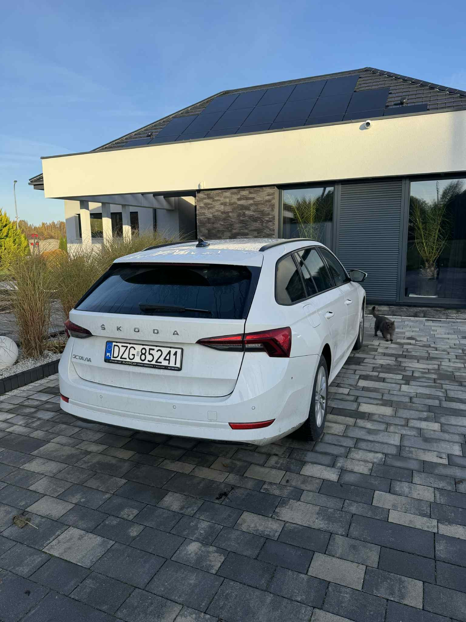Biała Skoda Octavia Combi zaparkowana na posesji z nowoczesnym domem i szarym kotem w tle. Ujęcie z tyłu, tablica rejestracyjna widoczna.