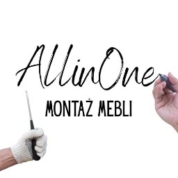 AllinOne Profesjonalnie - Logo Firmy Szczecin