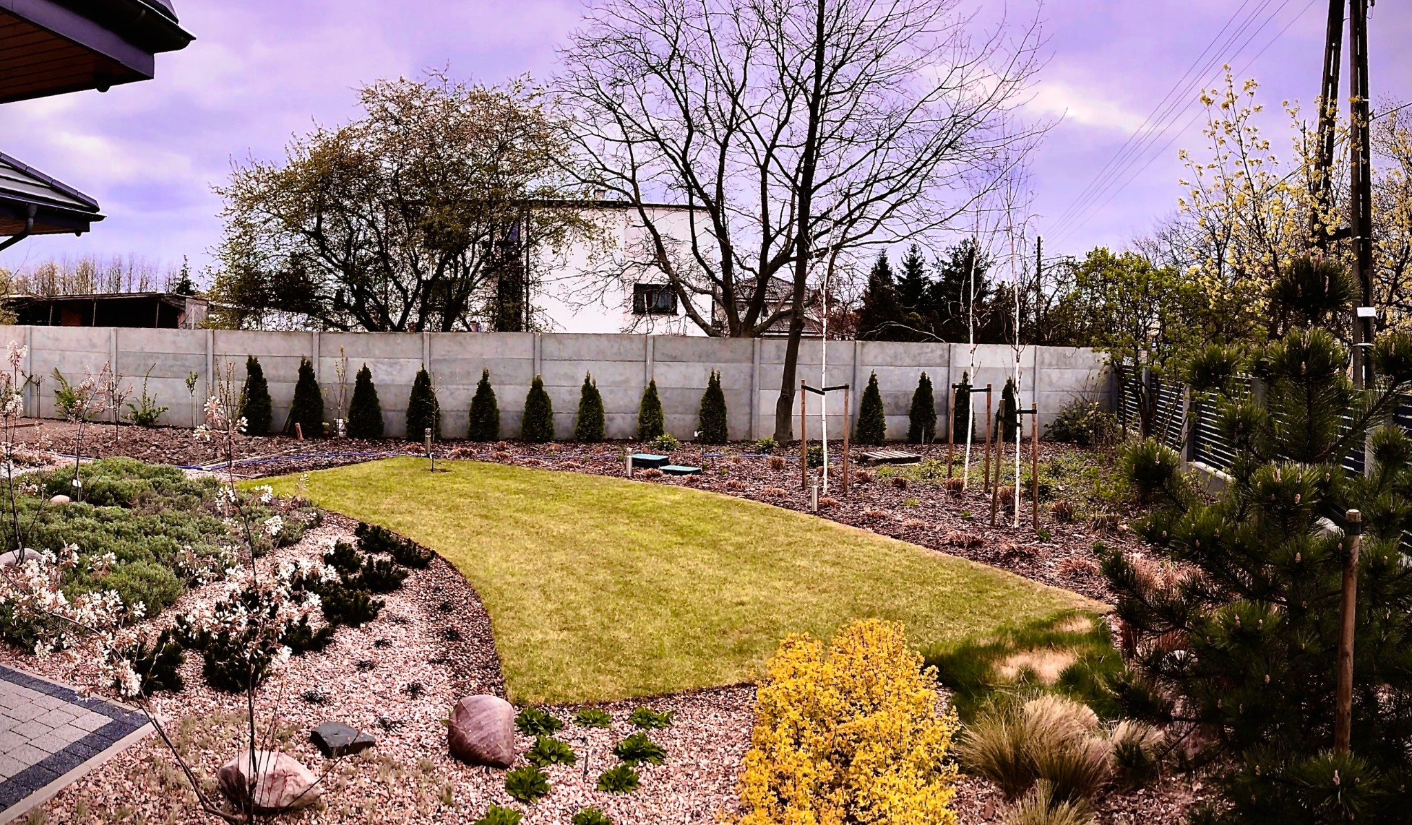 Nowoczesny ogród z trawnikiem, rabatami z kamyków i roślin, oraz betonowym ogrodzeniem w tle. Widoczne młode drzewka i krzewy. Całość utrzymana w stonowanej kolorystyce.