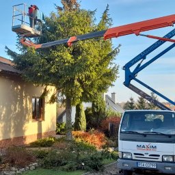 Wycinka drzew Rzeszów z wykorzystaniem zwyżki