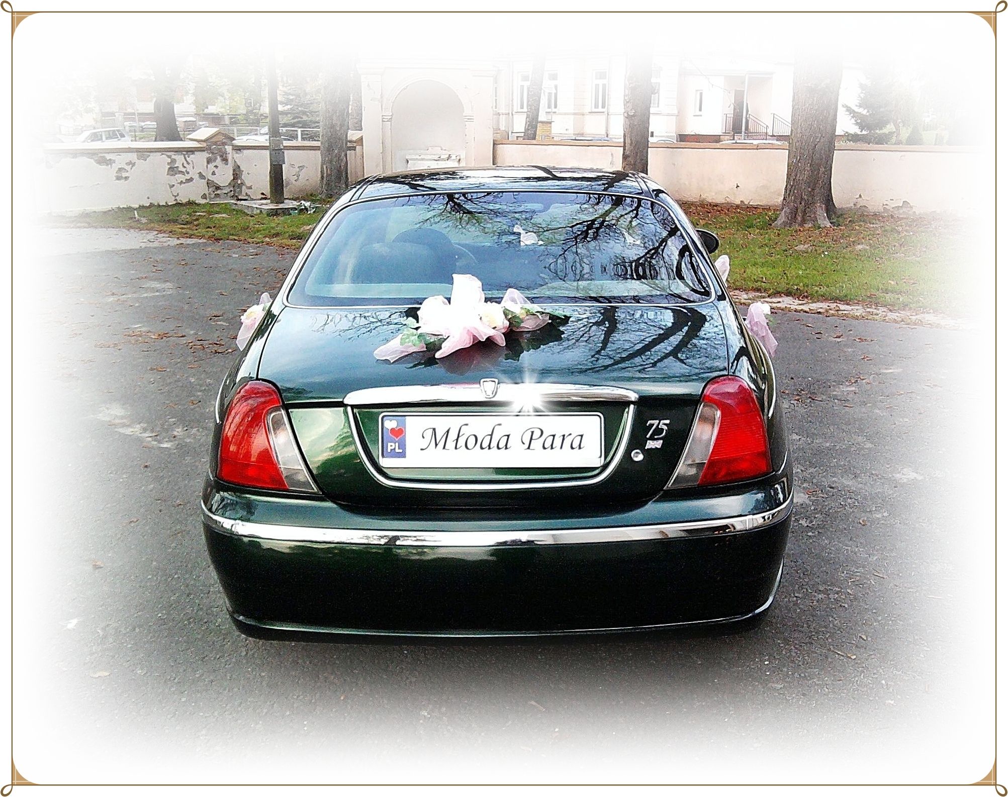 Ciemnozielony Rover 75 z dekoracjami ślubnymi i tablicą rejestracyjną 'Młoda Para' na tle budynku i drzew.