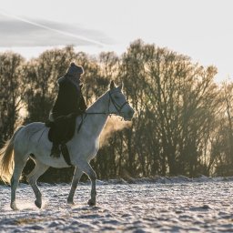 Mateusz Bojdoł - Zimowy krajobraz: jeździec w czarnym płaszczu na białym koniu, para z nozdrzy, oświetlone słońcem drzewa w tle, lekko ośnieżone pole. Ujęcie z boku, w ruchu.